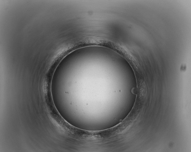 X0000094380683200711091602