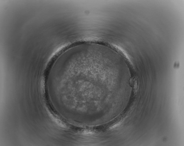 X0000094380684200711091602
