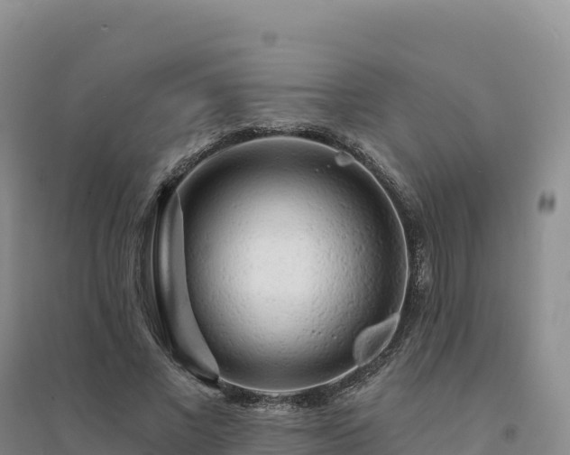 X0000094380685200711091602