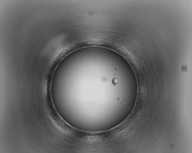 X0000094380686200711091602