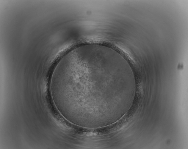 X0000094380687200711091602