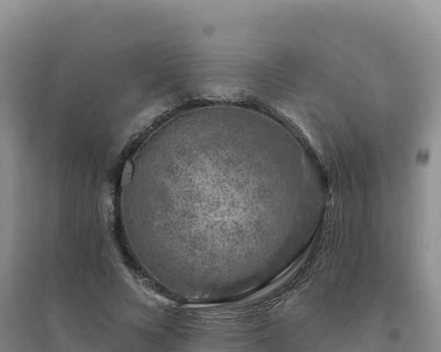 X0000094380688200711091602