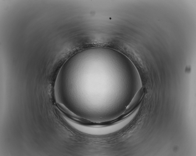 X0000094380689200711091602