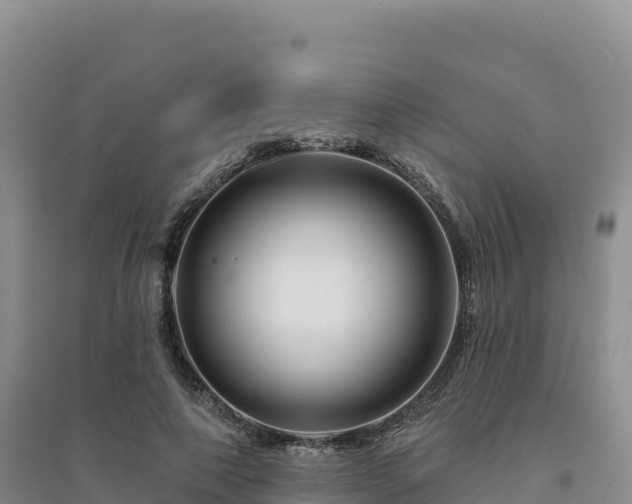 X0000094380690200711091602