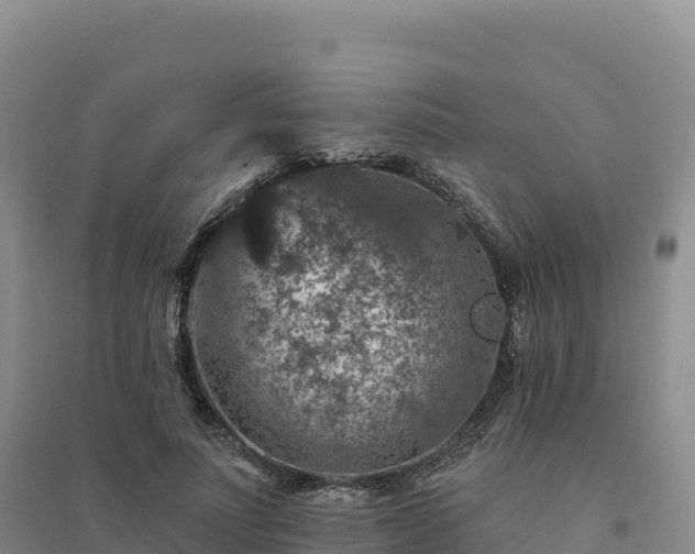 X0000094380691200711091601
