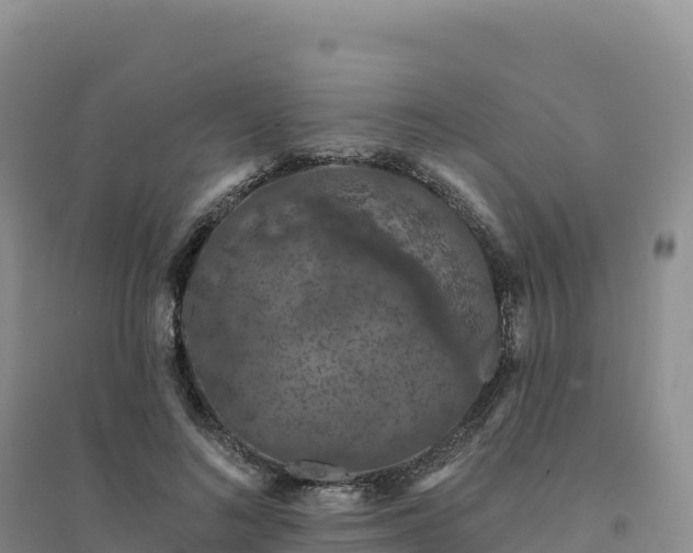 X0000094380692200711091601