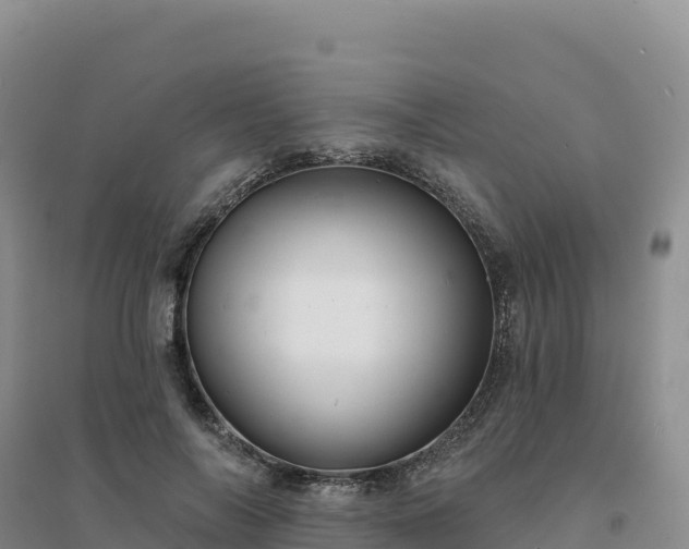 X0000094380694200711091601