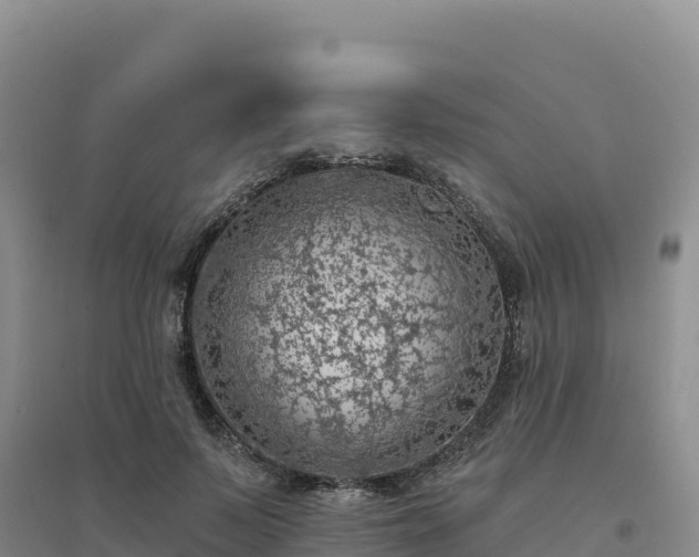 X0000094380695200711091601