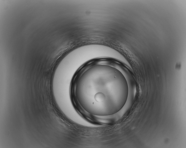 X0000094380696200711091601