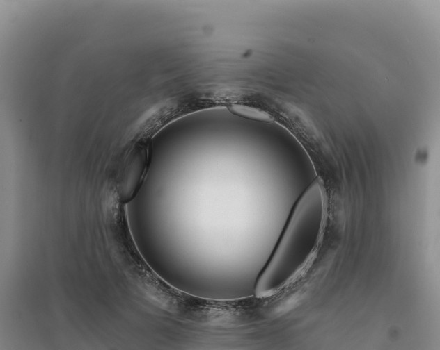 X0000094380697200711091601
