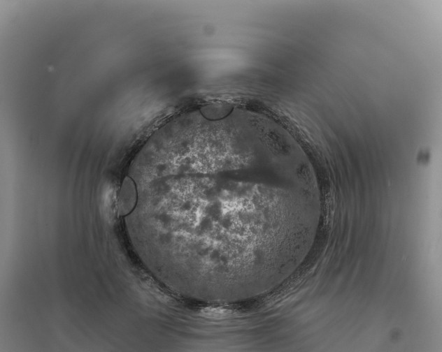 X0000094380699200711091601