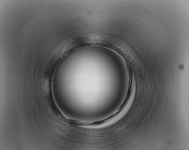 X0000094380700200711091601
