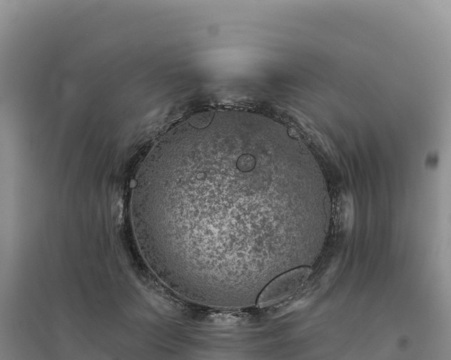 X0000094380703200711091601
