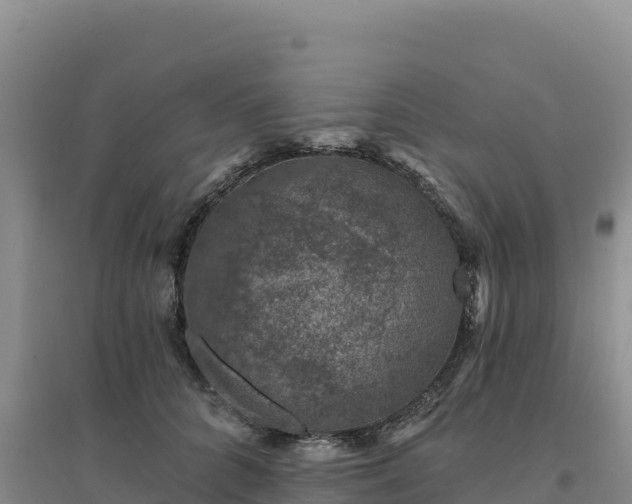 X0000094380704200711091601