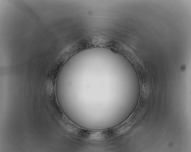 X0000094380705200711091601