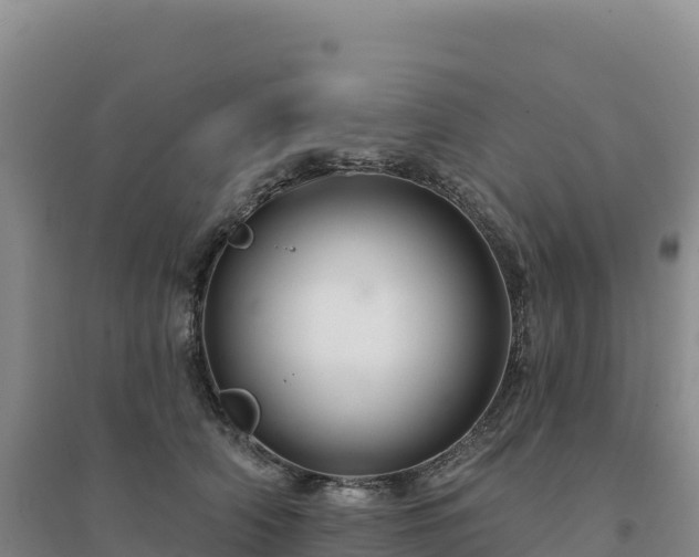 X0000094380706200711091601
