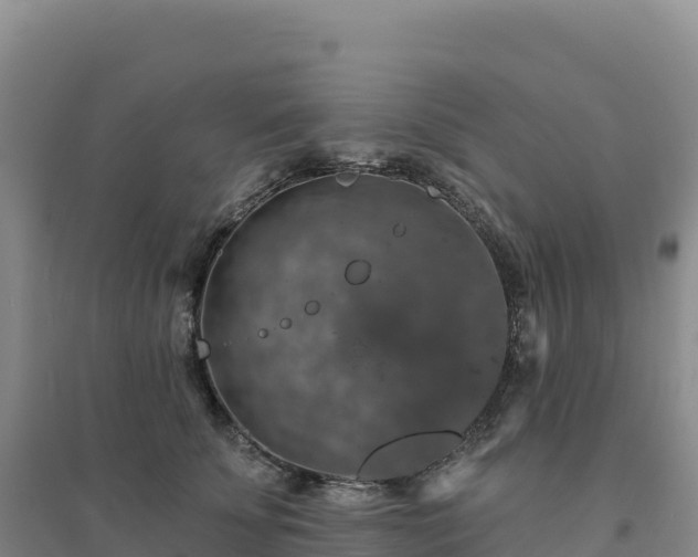 X0000094380707200711091601