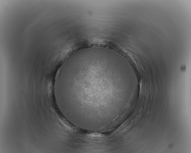 X0000094380708200711091601