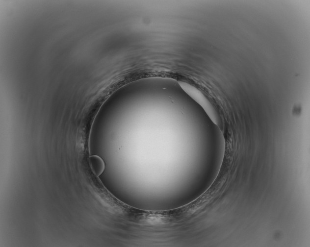 X0000094380710200711091601