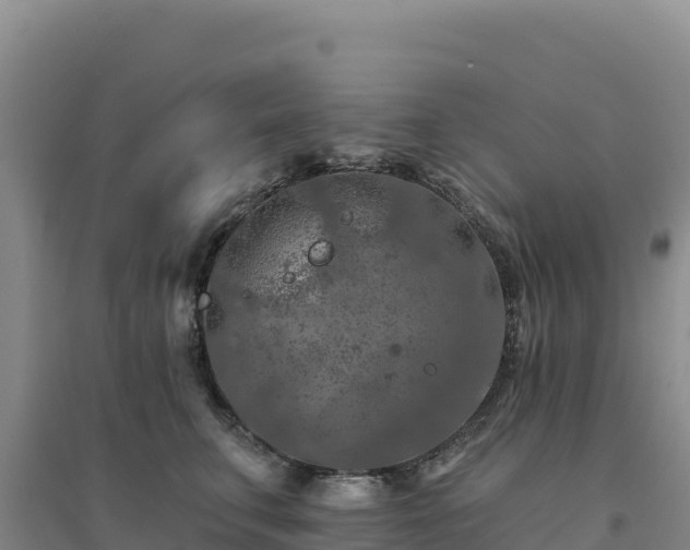 X0000094380711200711091601