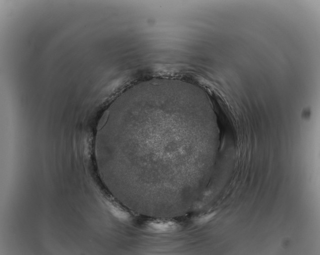 X0000094380712200711091601