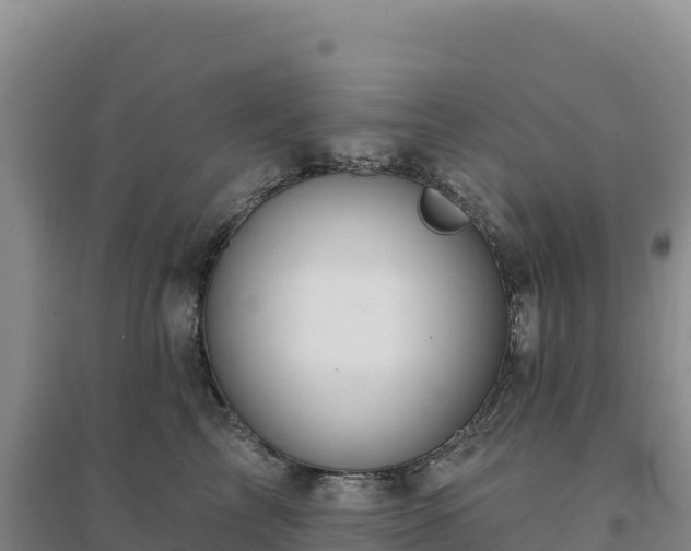 X0000094380713200711091601