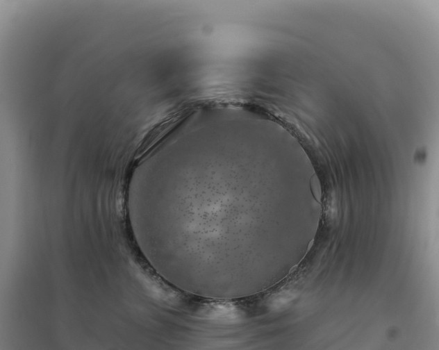 X0000094380715200711091601