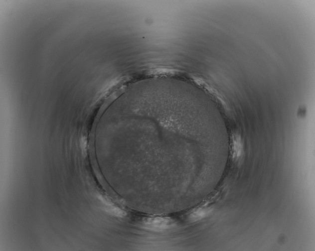 X0000094380716200711091601