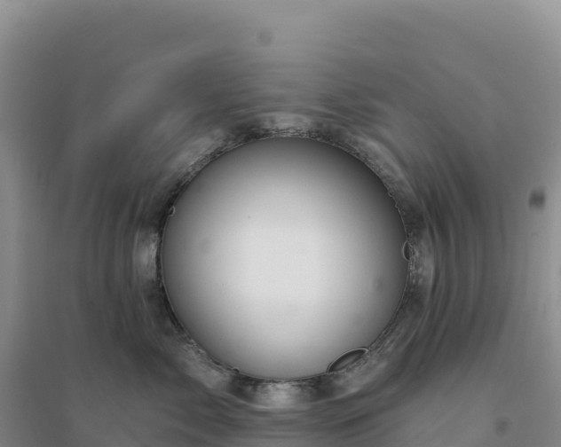 X0000094380717200711091601
