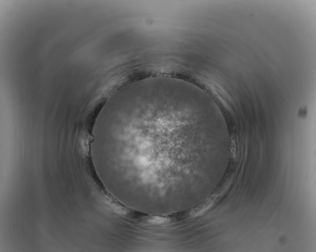 X0000094380718200711091601
