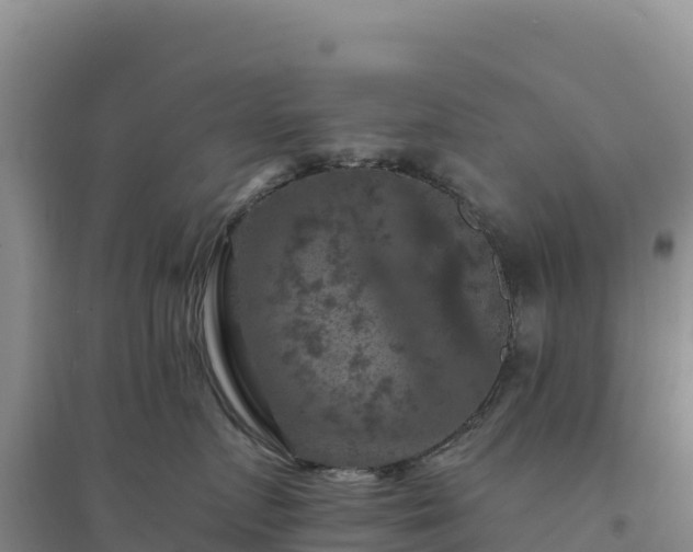 X0000094380719200711091601