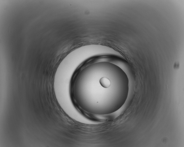 X0000094380720200711091601