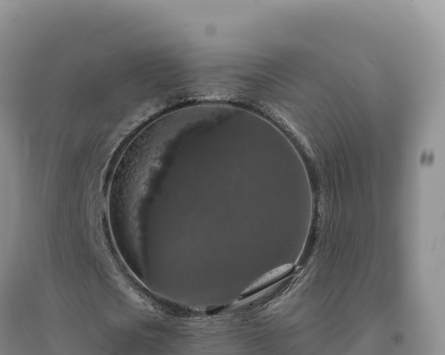 X0000094380721200711091600