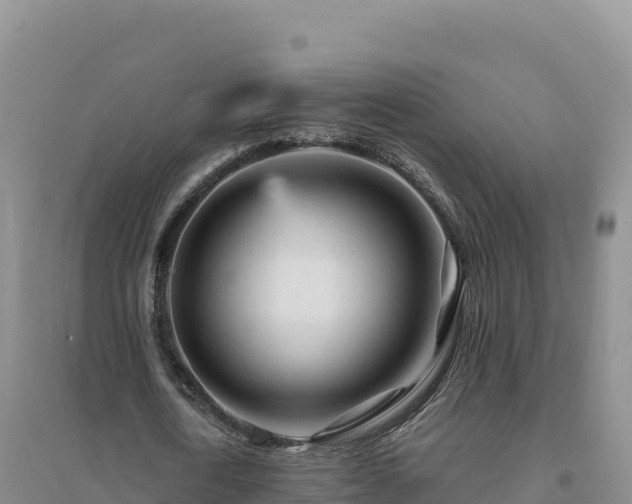 X0000094380722200711091600