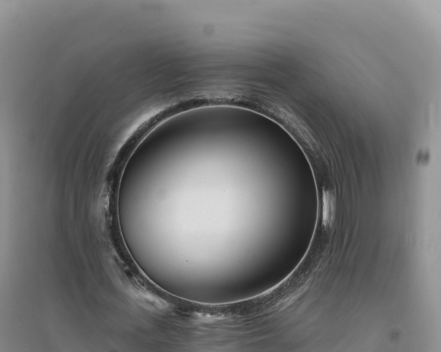 X0000094380723200711091600