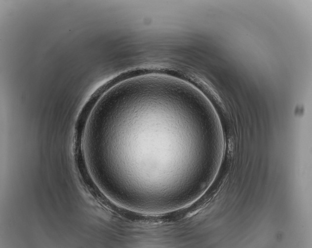 X0000094380724200711091600