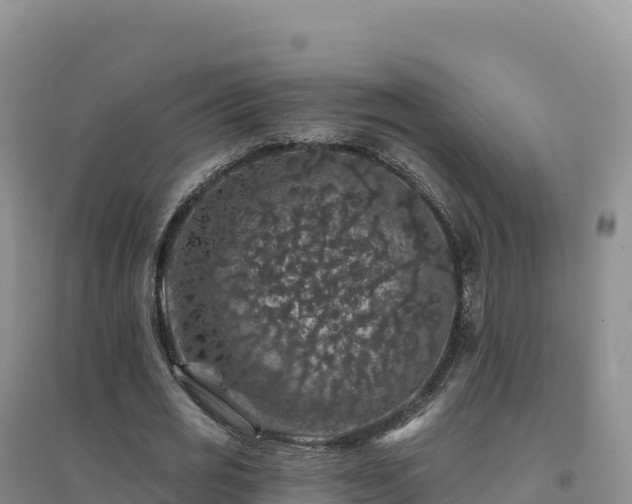 X0000094380725200711091600