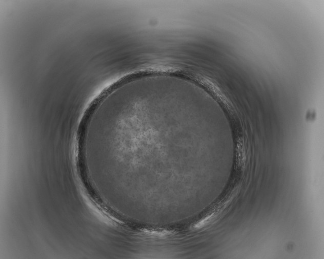 X0000094380726200711091600