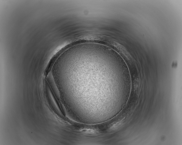 X0000094380727200711091601