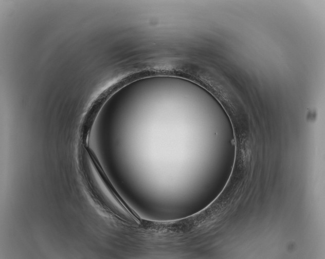 X0000094380728200711091601
