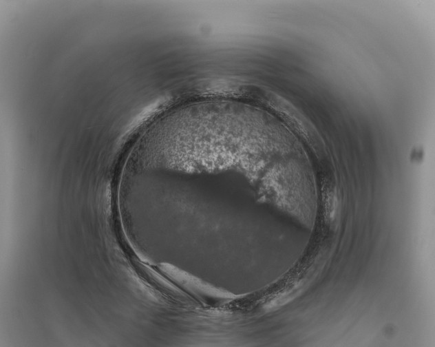 X0000094380729200711091601