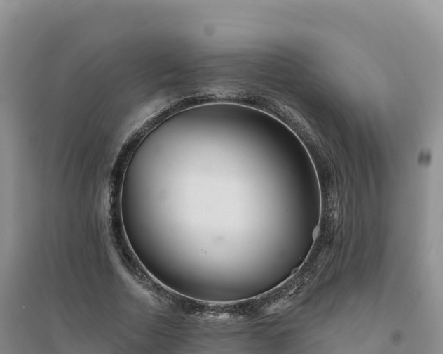 X0000094380730200711091601