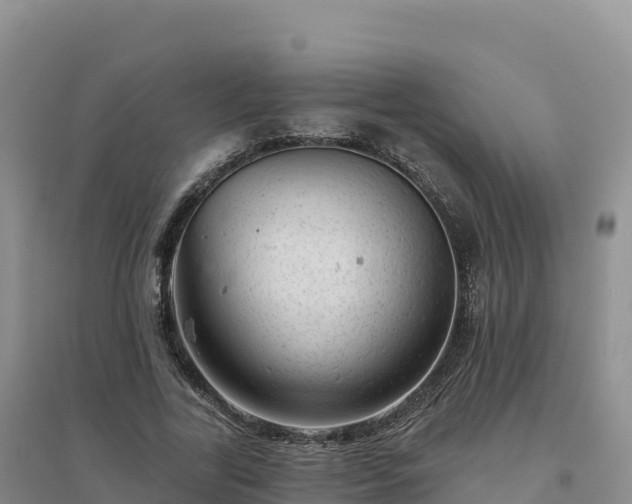 X0000094380731200711091601