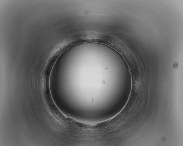 X0000094380732200711091601