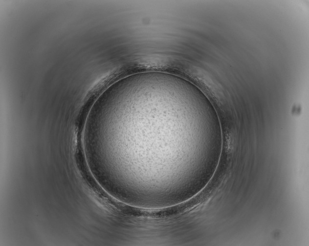 X0000094380733200711091601