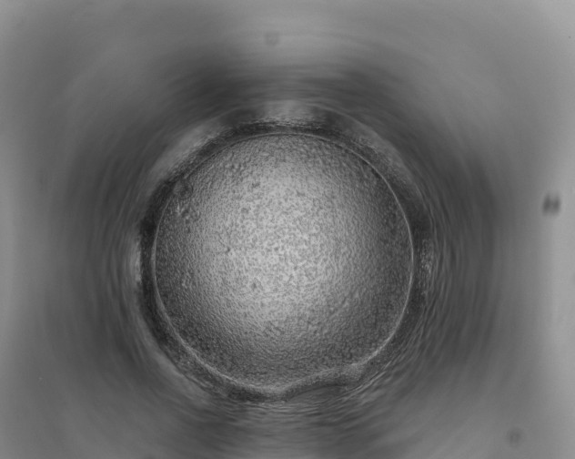 X0000094380734200711091601