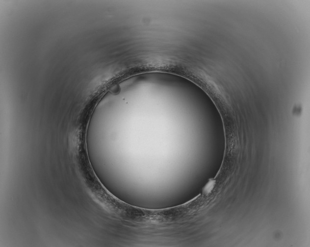 X0000094380736200711091601