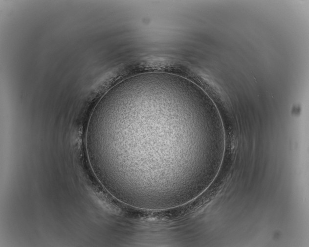 X0000094380737200711091601