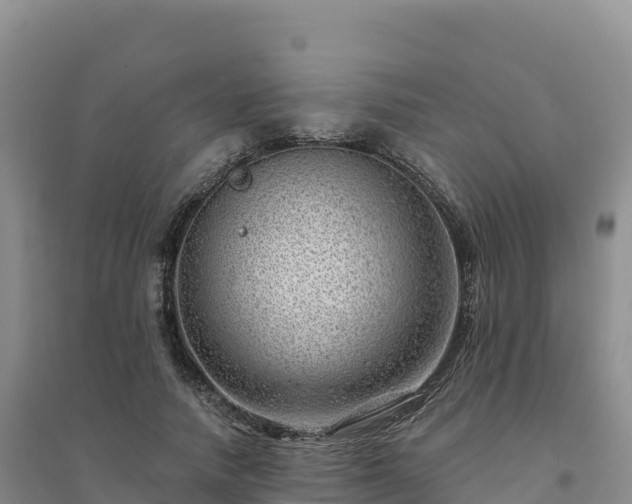 X0000094380738200711091601