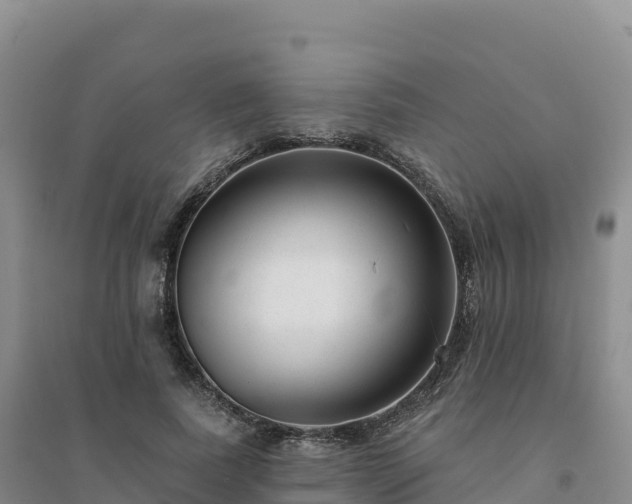 X0000094380739200711091601